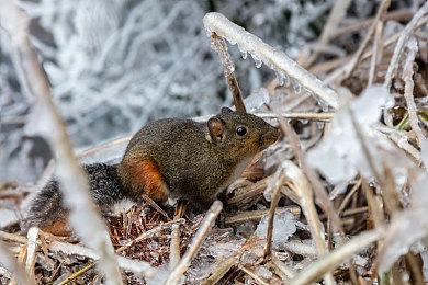 《卧龙：苍天陨落》DLC称霸江东新截图：新武将敌人武器等